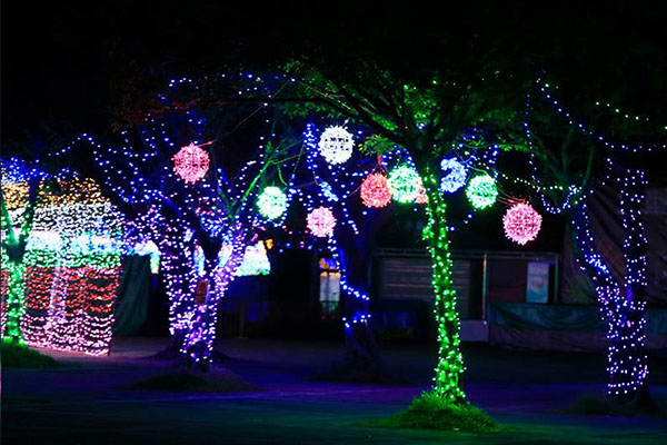 景觀樹照明亮化-是戶外亮化設(shè)計(jì)的關(guān)鍵構(gòu)成