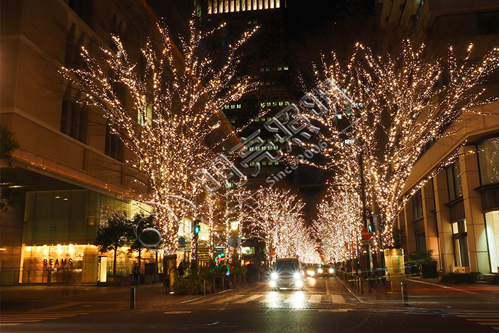 大樹亮化設(shè)計