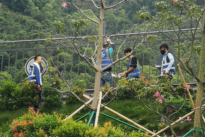 明亮照明集團香港亮化項目施工現(xiàn)場